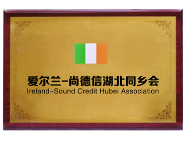 爱尔兰-尚德信湖北同乡会