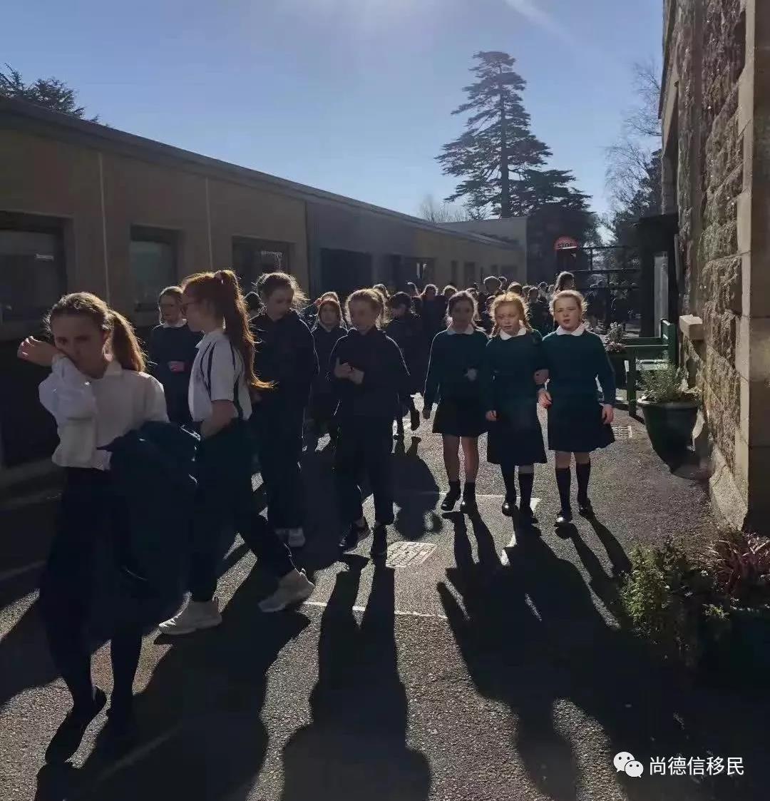 微信图片_20190313203318.jpg 微信图片_20190313203318.jpg