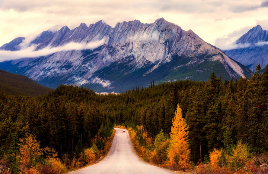 毕业后如何留在加拿大？留学转移民全攻略送给你