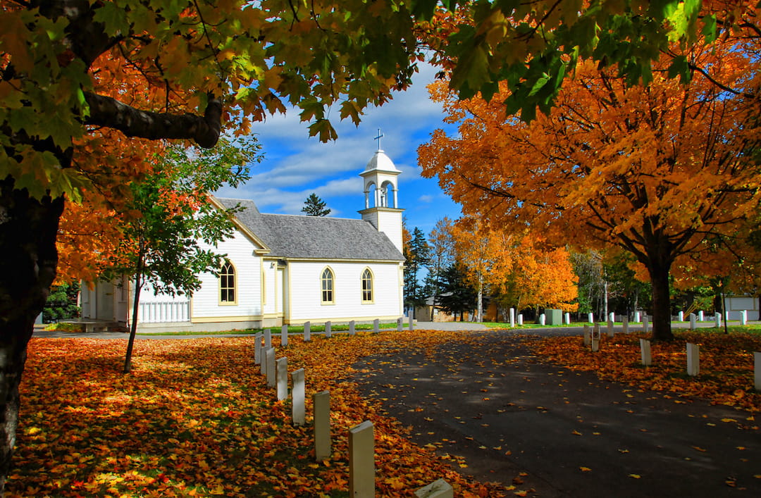 加拿大移民热门！来自阳光之都的神秘力量