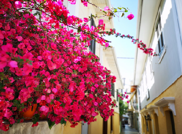 意想不到的惊人实力！希腊教育就是这么强！